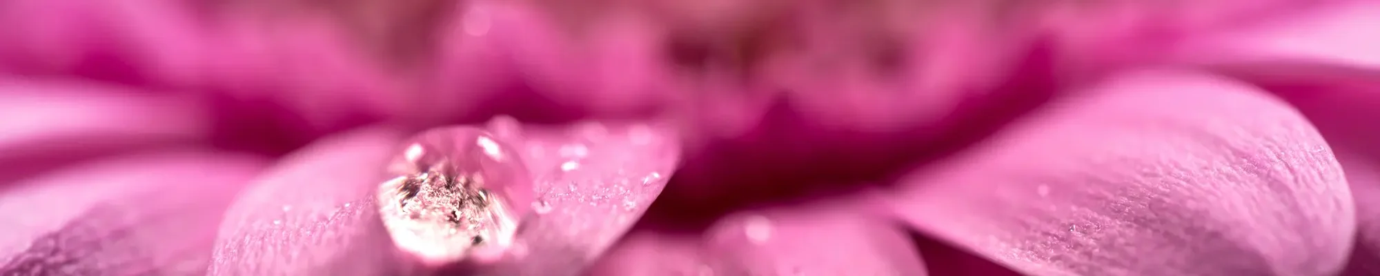 Desktop Image